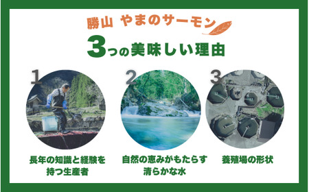 勝山 やまのサーモン 半身 冷凍  ※800ｇ以上×2枚 [C-050002]