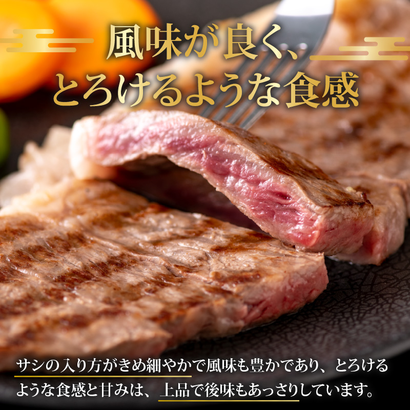 【福井のブランド牛肉】若狭牛 サーロインステーキ用 510g（170g×3枚） [C-058002]