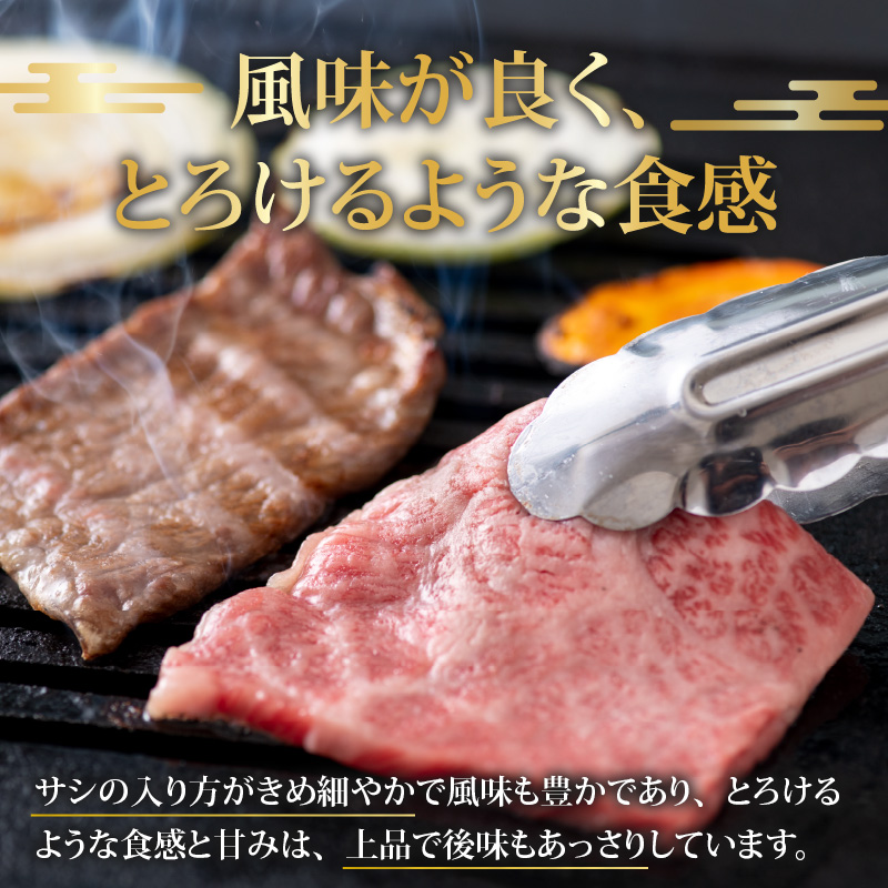 【福井のブランド牛肉】若狭牛 焼肉食べ比べセット 1kg（上カルビ500g×1パック、モモ500g×1パック） [E-058002]