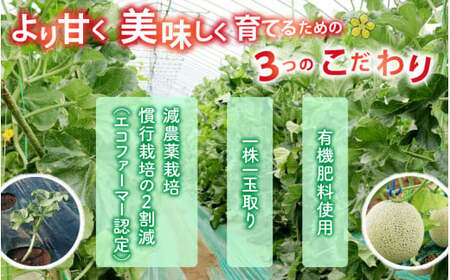 【令和8年産 先行予約】若猪野アールスメロン 1.7kg 以上 1玉 箱入り ※2026年8月下旬より順次発送 [A-011013]