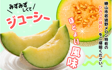 【令和8年産 先行予約・数量限定！】令和８年産　若猪野アールスメロン 1.6kg 以上 (赤肉・青肉各１玉）合計 2玉 箱入り ※2026年７月下旬より順次発送 [A-011016]