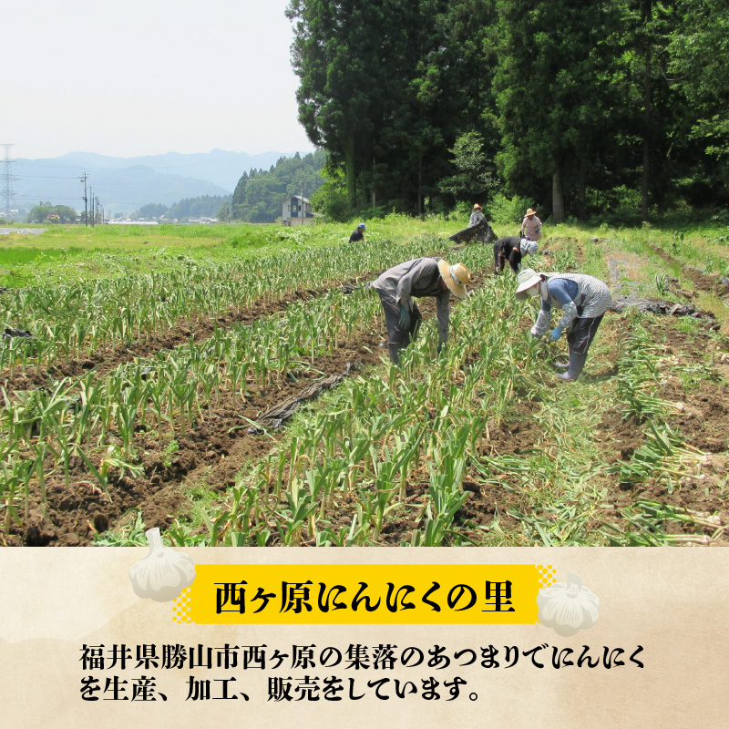 にんにく風味のオリーブオイル「オリーブDEがり 3本セット」 [A-017005]