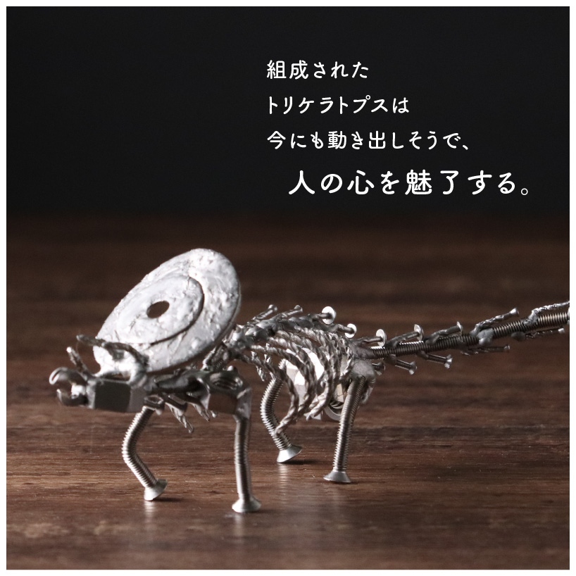 オールステンレスネジ恐竜　トリケラトプス(全長250mm) [A-025003]