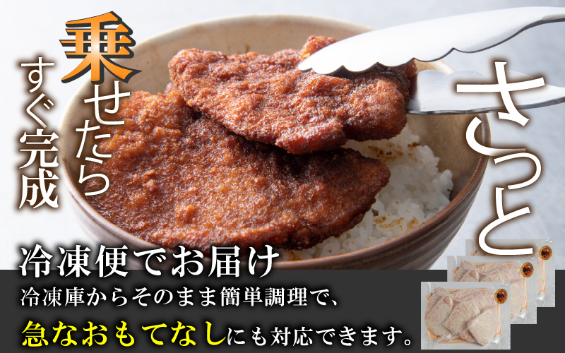 福井名物 ソースカツ丼セット9人前 [A-037020]