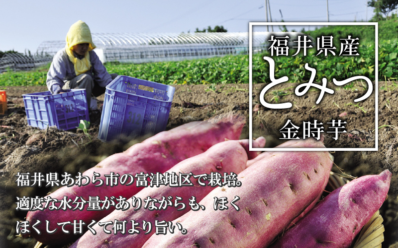 冷やし焼き芋 6本入り [A-037024]