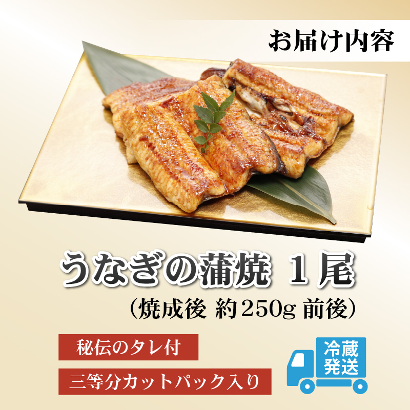 血抜きうなぎの蒲焼（無頭） 焼成後250g前後×1尾  国産 [A-044002]