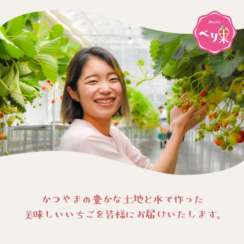 自家製カップアイス3種セット（いちご 4個 & みっくす 4個 & みるく 4個） [A-045003]