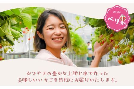 どら焼きアイス3個セット[A-045012 ]