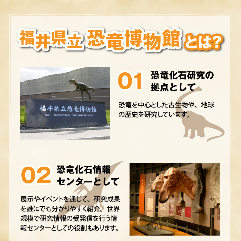 福井県立恐竜博物館 常設展観覧券 (一般 1名様と小・中学生 2名様) [A-048010]