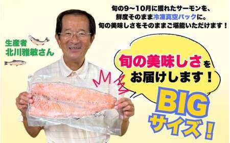 勝山 やまのサーモン 半身 冷凍  ※800ｇ以上×1枚 [A-050009]