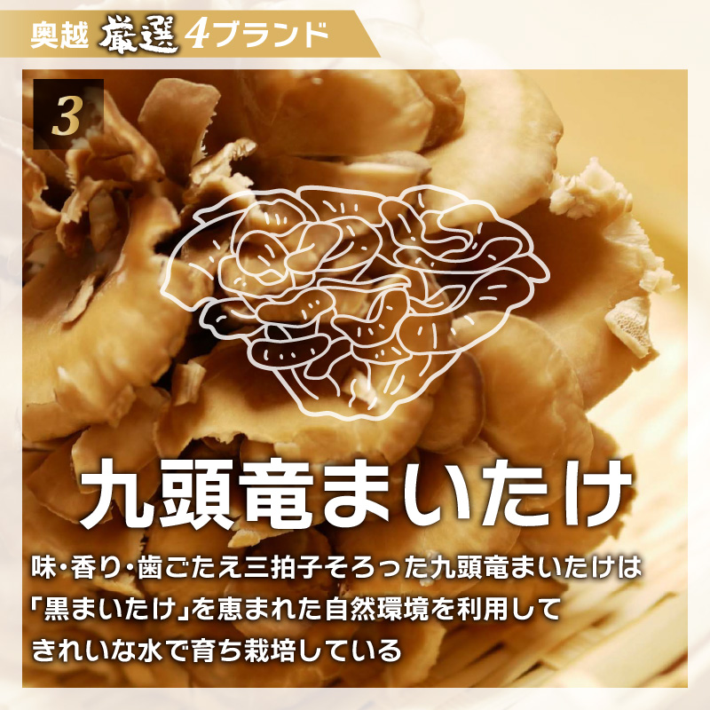 奥越4ブランドコラボ商品 プレミアムメンチ 約80g（2個入り×3 パック） [A-054003]