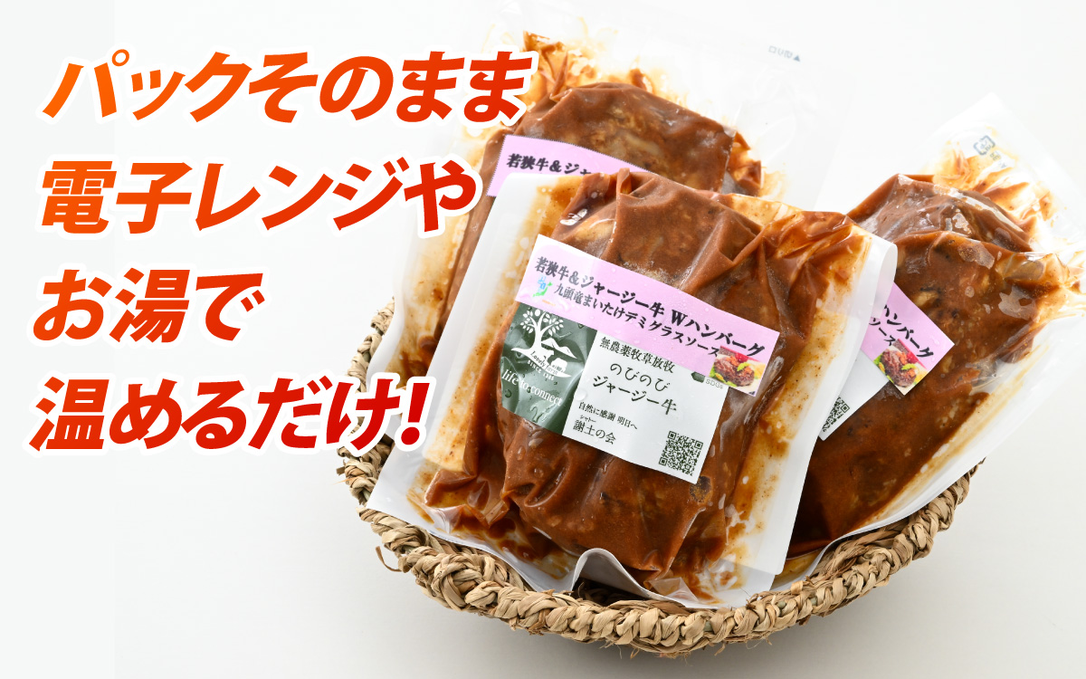 若狭牛＆放牧ジャージー牛 Ｗハンバーグ 九頭竜まいたけデミグラスソース[A-054005]