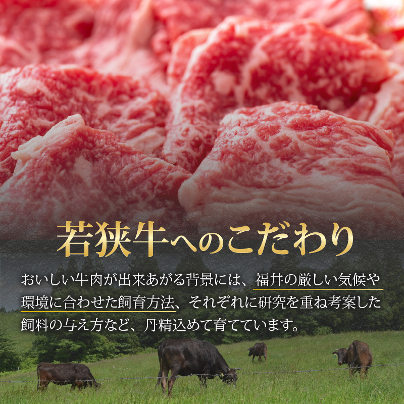 【福井のブランド牛肉】若狭牛 切り落とし 225g×2パック 計450g【 モモ・肩・バラ】 [A-058001]