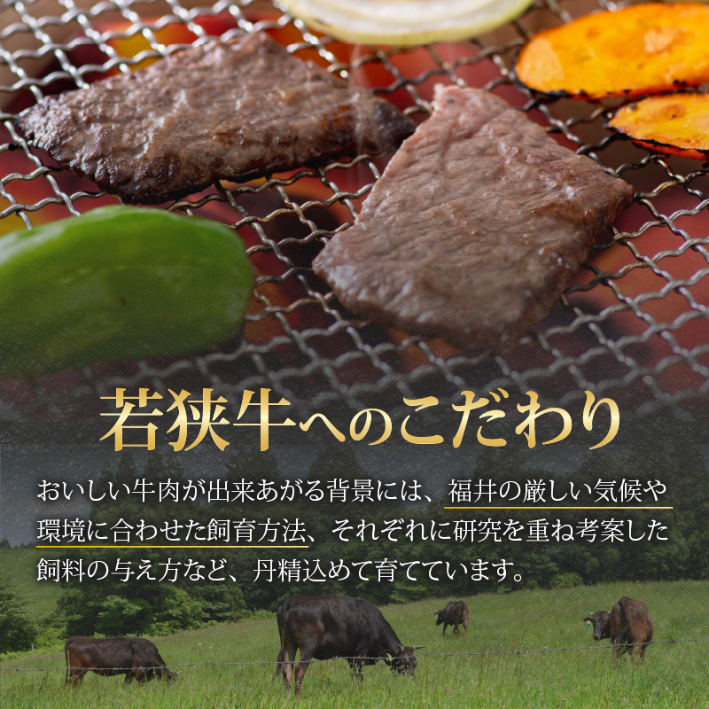 【福井のブランド牛肉】若狭牛 モモ肉 焼肉用 270g×1パック [A-058002]