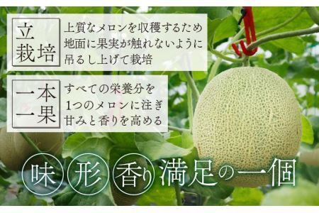 勝山産アールスメロン 2個入り 化粧箱（赤肉・青肉セット）※2026年7月下旬頃順次発送 [A-060007]