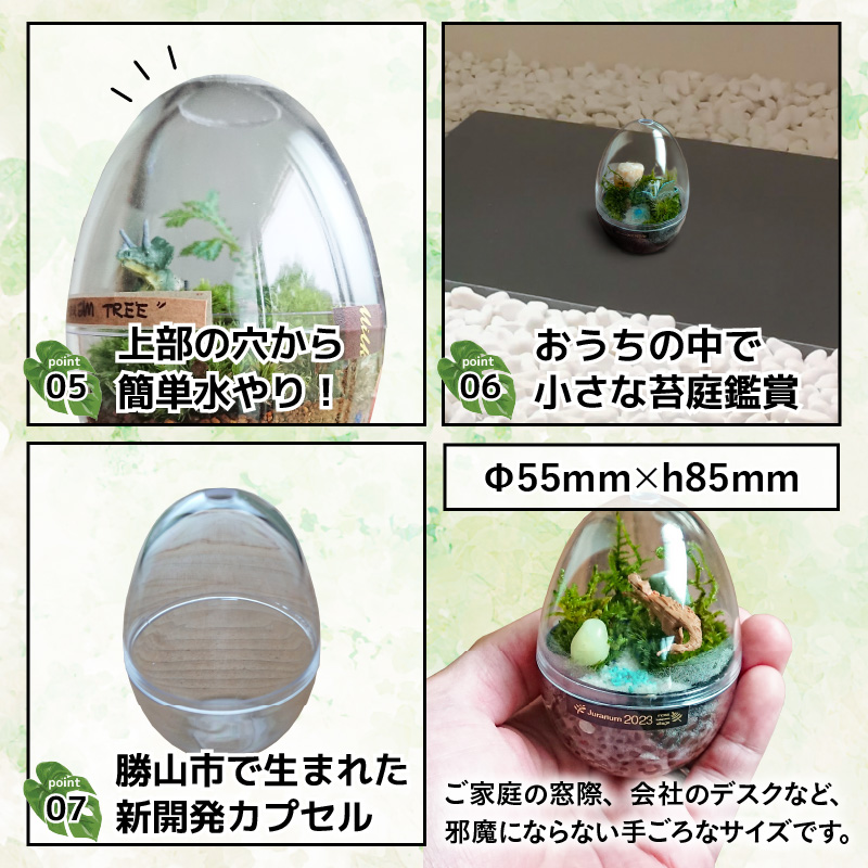 恐竜＋苔＋天然石が作り出す、癒やしの自然空間！ ジュラリウム Sサイズ [A-070001]