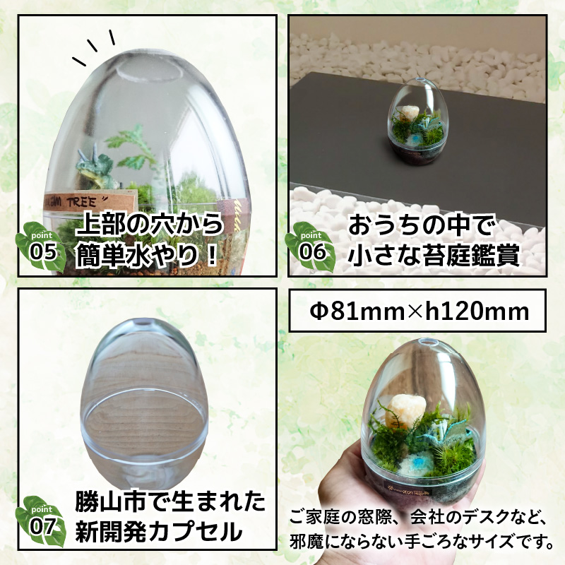 恐竜＋苔＋天然石が作り出す、癒やしの自然空間！ ジュラリウム Mサイズ [A-070002]