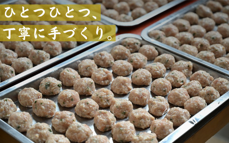 焼鳥屋さんの鶏つくね餃子　10個入り　2パック　［A-084001］