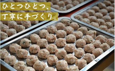 焼鳥屋さんの鶏つくね餃子　10個入り　4パック　［A-084003］