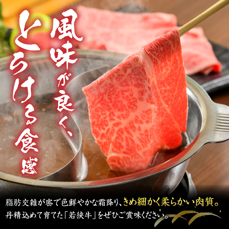 福井県内産若狭牛とろけるすき焼　しゃぶしゃぶ(600g) [B-012009]