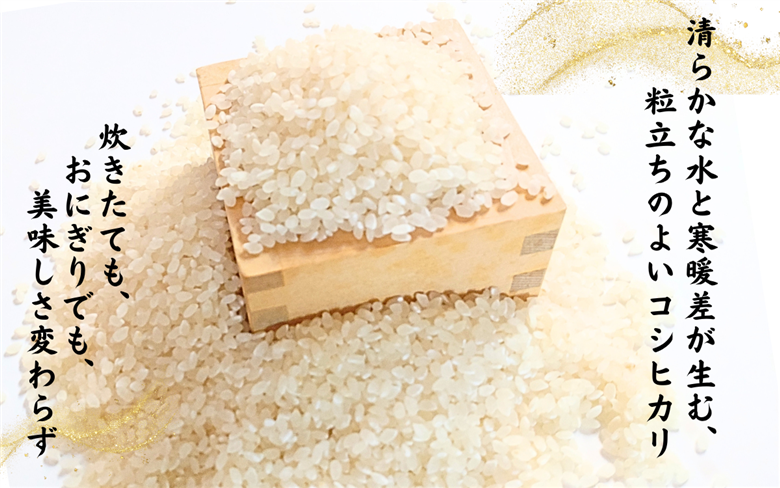 令和7年 のむき風の郷コシヒカリ特別栽培米（精米)　5kg × 2袋（10kg）【B-024004】