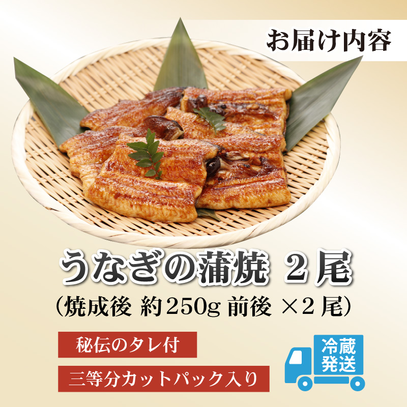 血抜きうなぎの蒲焼（無頭）焼成後250g前後×2尾  国産 [B-044001]