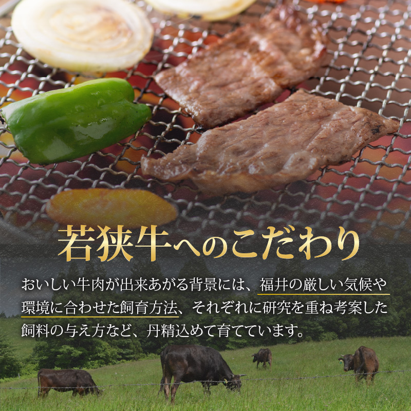 【福井のブランド牛肉】若狭牛 上カルビ 焼肉用 350g×1パック [B-058001]