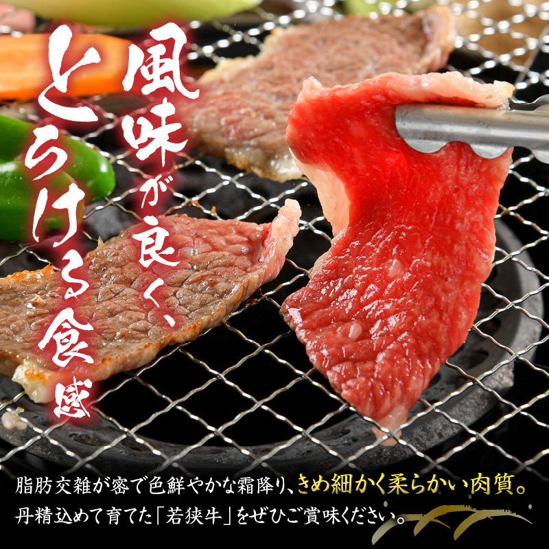 福井県内産若狭牛やみつき焼肉(900g) [C-012002]