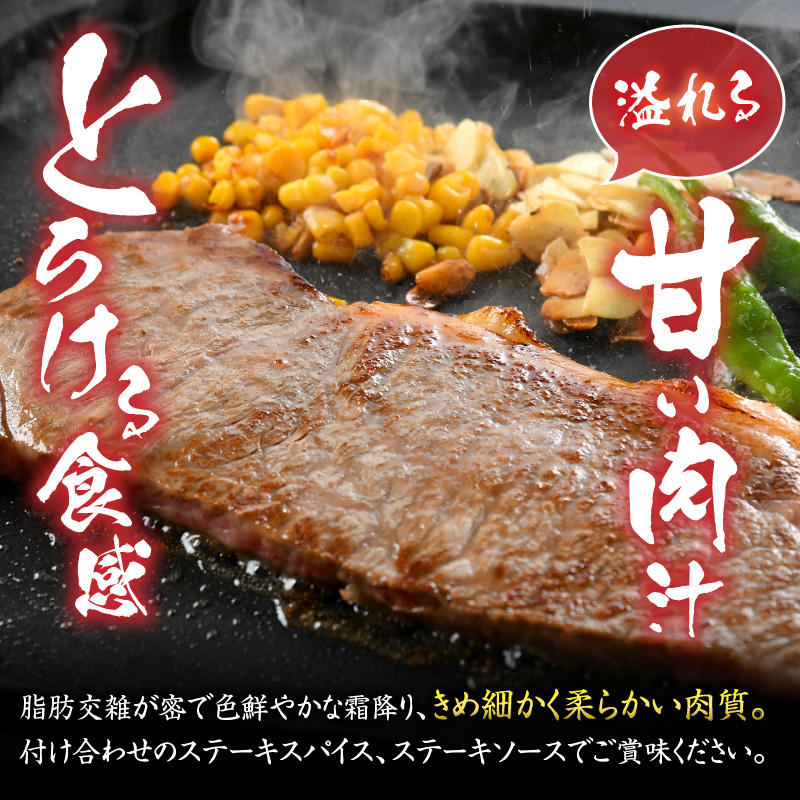 福井県産若狭牛サーロインステーキ約200g×3枚セット [C-012004]