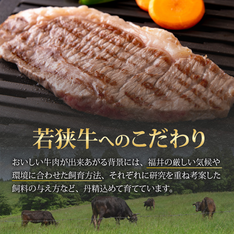 【福井のブランド牛肉】若狭牛 サーロインステーキ用 510g（170g×3枚） [C-058002]