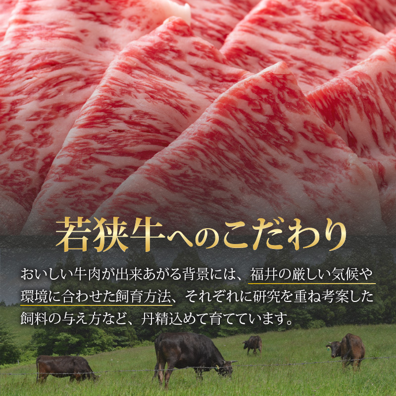 【福井のブランド牛肉】若狭牛 ロース・肩ロース肉 しゃぶしゃぶ用 500g（250g×2パック） [C-058004]
