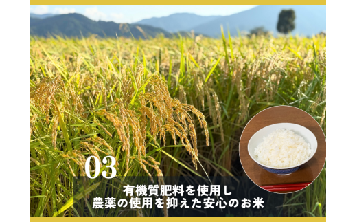 【2025年産新米】福井県勝山のおいしいコシヒカリ10kg [C-096002]
