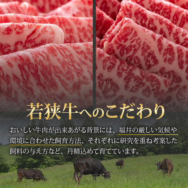 【福井のブランド牛肉】若狭牛 すき焼き食べ比べセット 1kg（ロース500g×1パック、モモ500g×1パック） [E-058001]