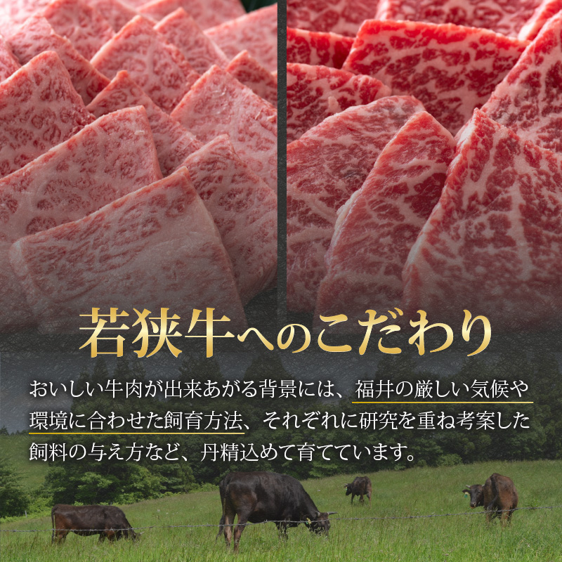 【福井のブランド牛肉】若狭牛 焼肉食べ比べセット 1kg（上カルビ500g×1パック、モモ500g×1パック） [E-058002]