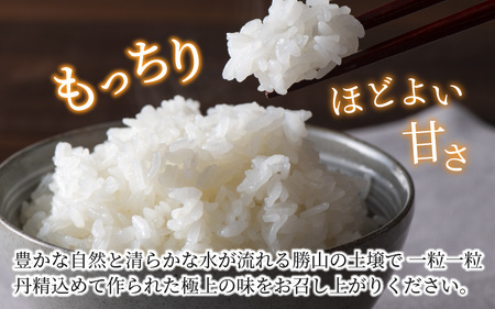 【定期便3ヶ月連続】勝山のお米コシヒカリ 精米 10kg（計 30kg） [I-010022]