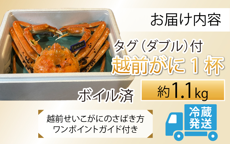 越前ずわいがに 約1.1kg×1杯 タグ（ダブル）付 [L-044003]