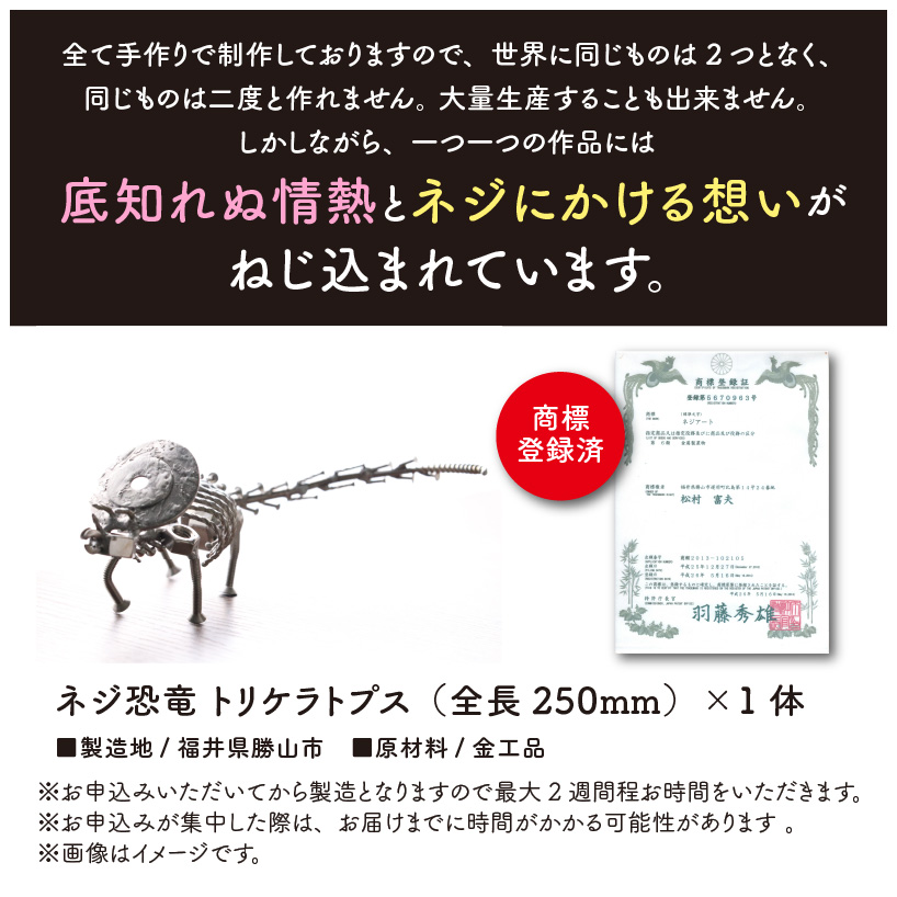 オールステンレスネジ恐竜　トリケラトプス(全長250mm) [A-025003]