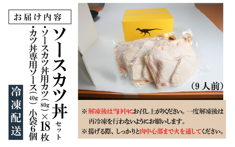 福井名物 ソースカツ丼セット9人前 [A-037020]