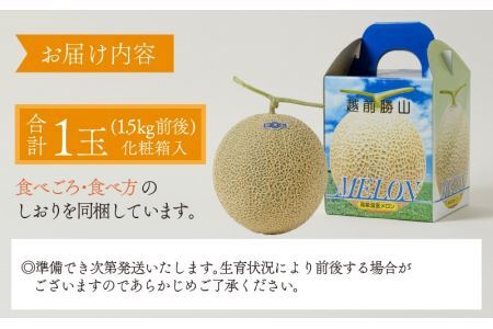  勝山産アールスメロン 1個入り（青肉）※2026年7月下旬より順次発送 [A-060005]