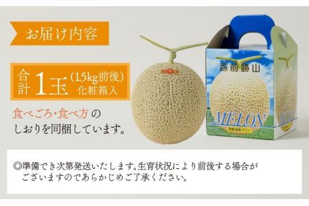 勝山産アールスメロン 1個入り（赤肉）※2026年7月下旬より順次発送 [A-060006]