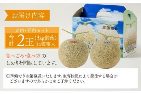 勝山産アールスメロン 2個入り 化粧箱（赤肉・青肉セット）※2026年7月下旬頃順次発送 [A-060007]