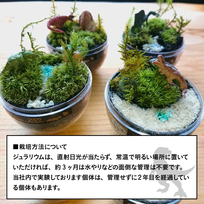恐竜＋苔＋天然石が作り出す、癒やしの自然空間！ ジュラリウム Sサイズ [A-070001]