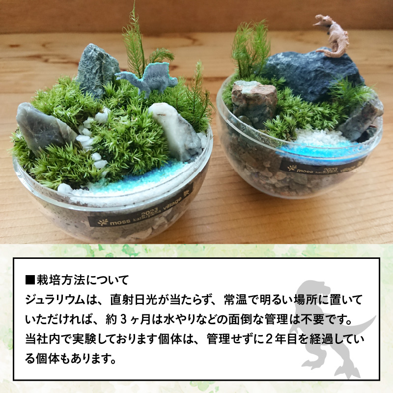 恐竜＋苔＋天然石が作り出す、癒やしの自然空間！ ジュラリウム Mサイズ [A-070002]