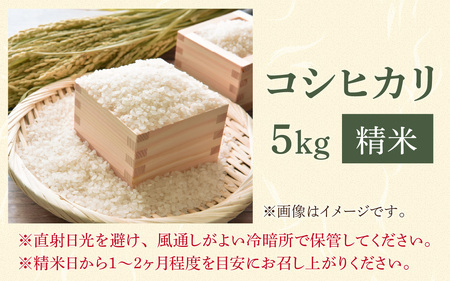 【勝山市産】田中さんちのコシヒカリ 精米 5kg [A-080006]