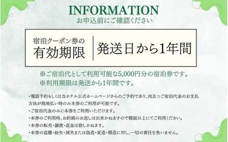 勝山ニューホテル ご宿泊クーポン券5,000円券［A-087001］
