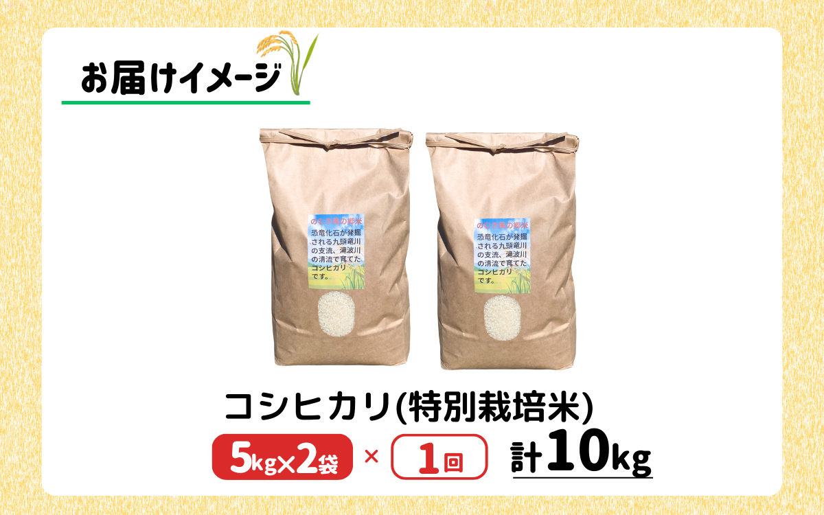 令和7年 のむき風の郷コシヒカリ特別栽培米（精米)　5kg × 2袋（10kg）【B-024004】