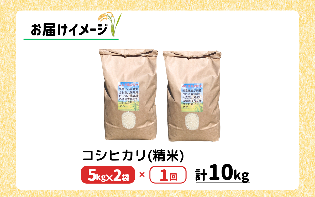令和7年 のむき風の郷米 コシヒカリ精米（無洗米）5kg × 2袋（10kg）[B-024005]