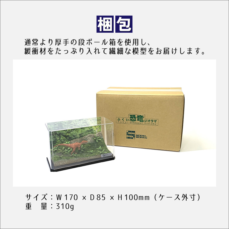 ふくい恐竜ジオラマ 【２】 フクイラプトル [B-047002]