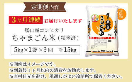 【定期便3ヶ月連続】勝山のお米コシヒカリ 精米 5kg（計 15kg） [E-010034]