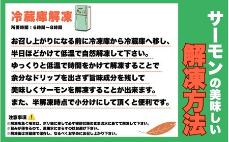 勝山 やまのサーモン 半身 冷凍  ※800ｇ以上×3枚 [E-050003]